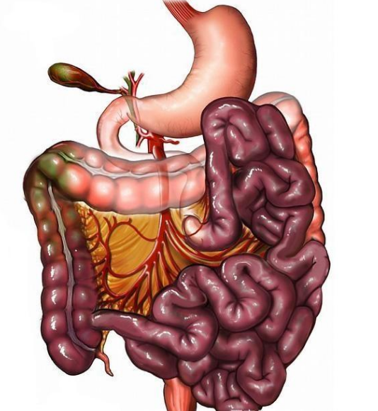 腸息肉者，排便出現3個(gè)異常，十有八九息肉已變成“癌”