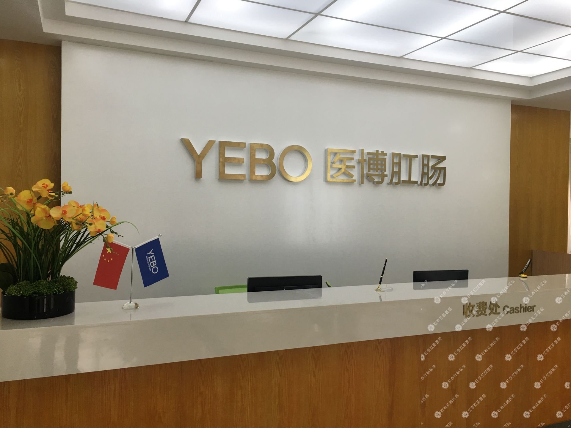 南寧醫博中醫肛腸醫院專(zhuān)業(yè)嗎